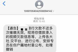 甘肃为什么选择专业追讨公司来处理您的债务纠纷？